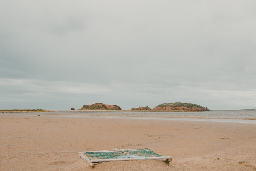 Bloom Expériences-3